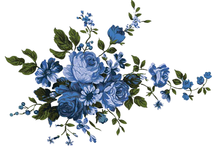 ( Click to go Back on Main Bio)